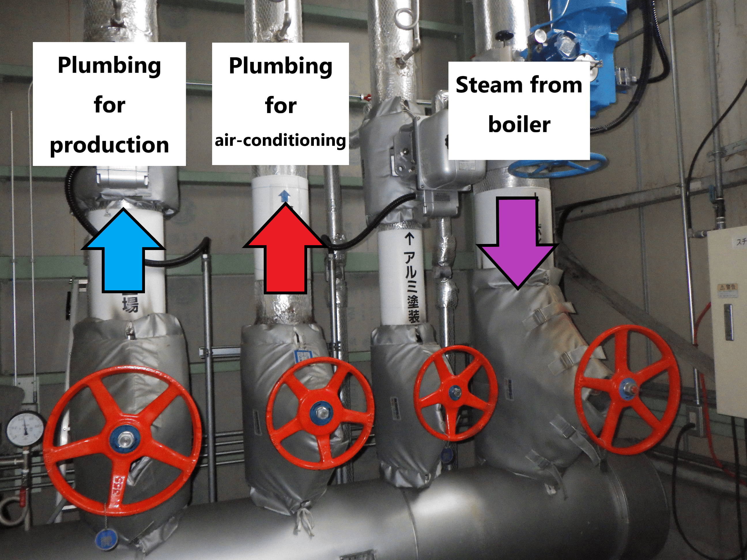 Production piping Heating piping Boiler steam