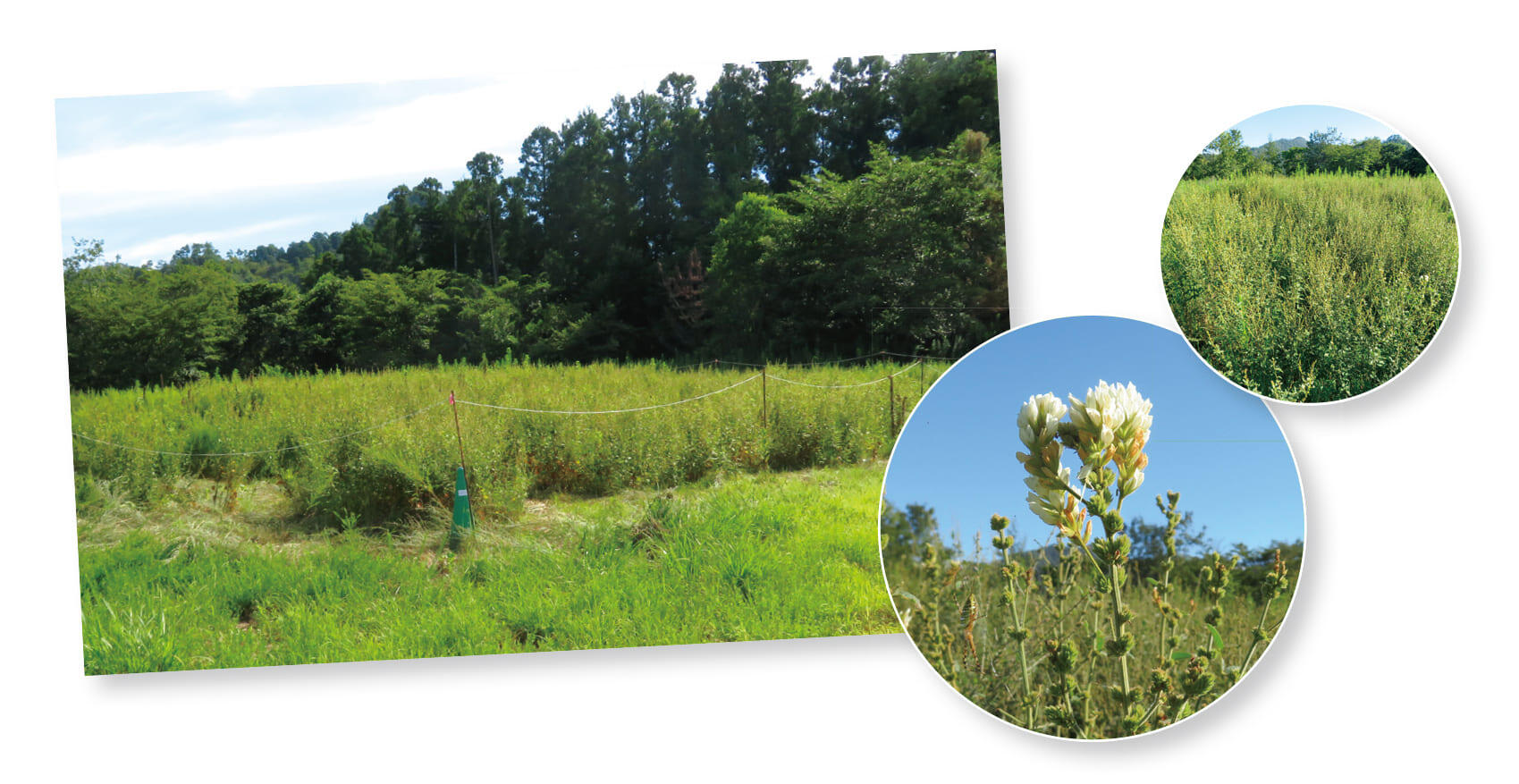 Conservation activities at the Kayaba Development Center