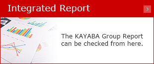 Integrated Report