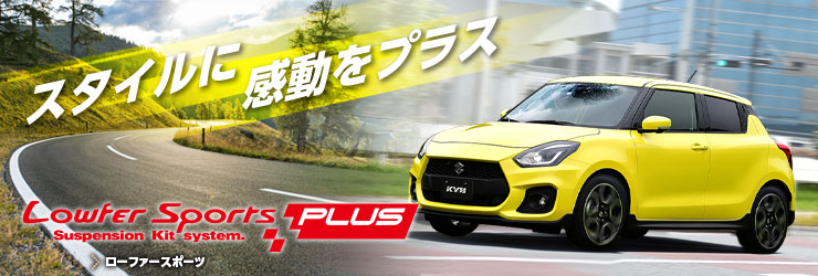 Lowfer Sports PLUS